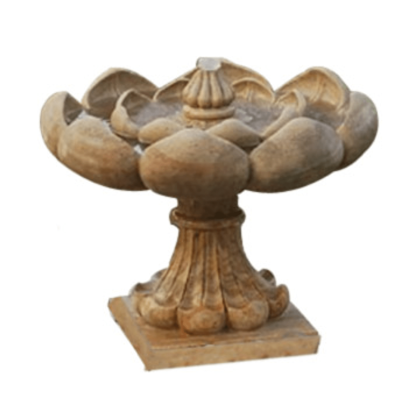 Rose Fountain