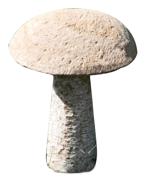 Mushrooms