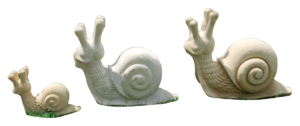 Snail